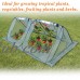 Sunrise Outdoor Portable Mini 8'x4'x2.65' Long Triangle Gardening Plant Greenhouse, Transparent   567473999